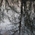 Towpath, Lambertvillle, NJ (2015)